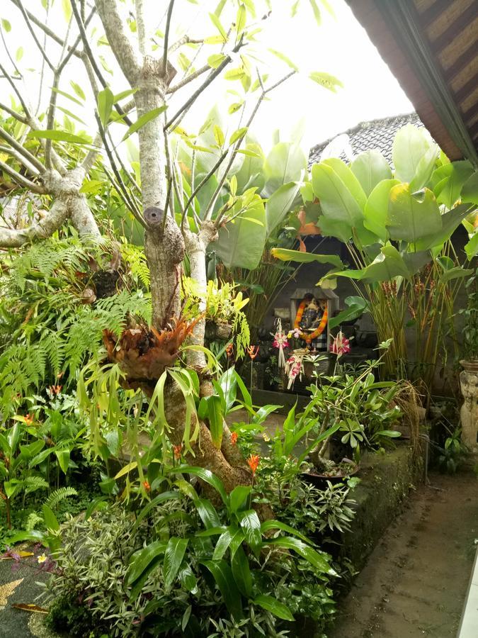 Krisda Ubud Guest House Ngoại thất bức ảnh